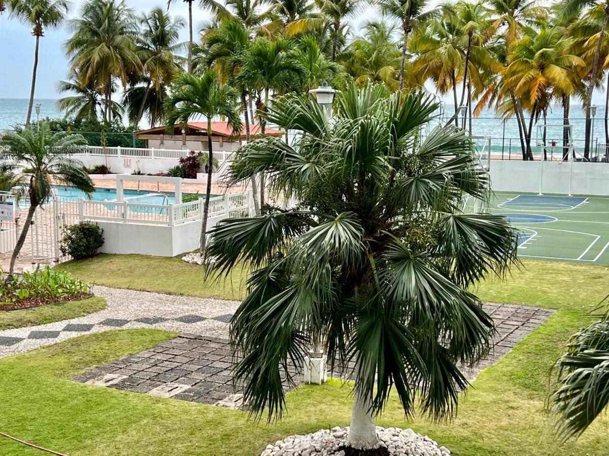 Hobie Oceanfront Apartment At Isla Verde San Juan Exteriör bild